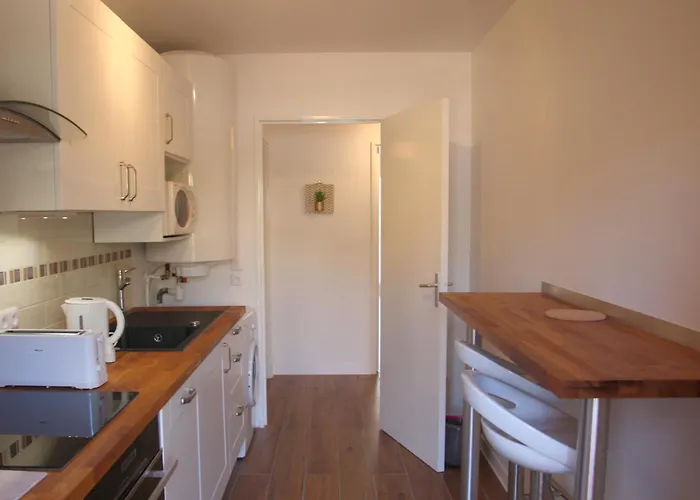 דירה Le Renoir ניס