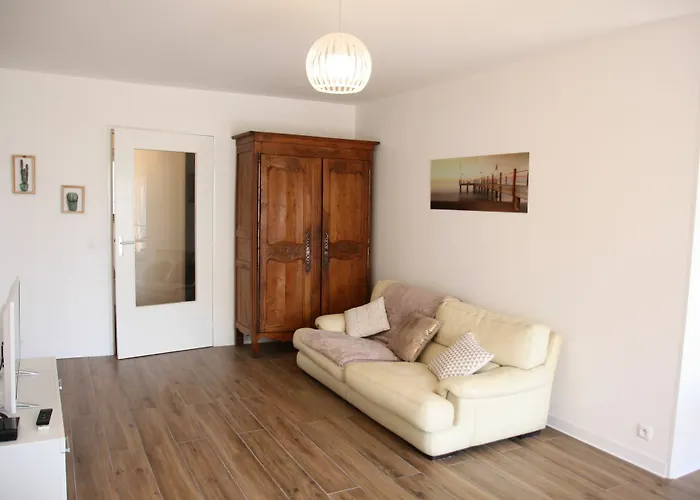 Le Renoir דירה ניס